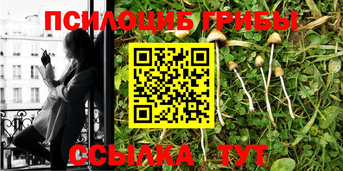 хочу   Вход с VPN  Новокуйбышевск  Псилоцибиновые грибы Cubensis 